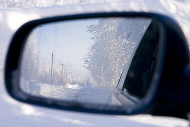 bigstock Wood Reflected In An Automobil 2573863
