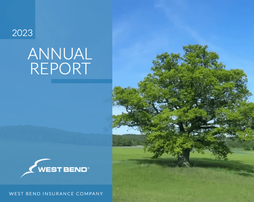 Thumbnail of cover image for 2023 annual report