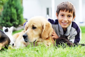 Benefits of pets for your child