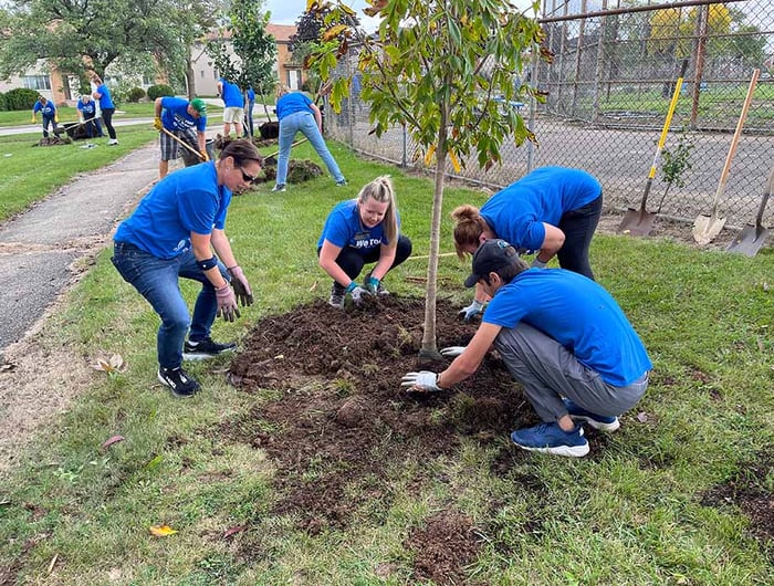 Four associates plant tree at volunteering event.