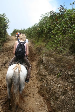 Horseback Riding Safety