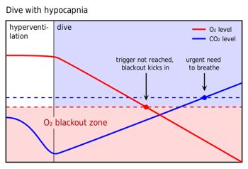 Shallow Water Blackout Diagram