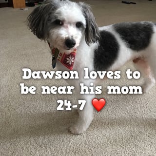 Dawson.jpg