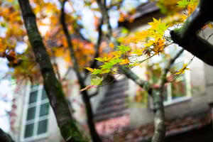 Fall house picture