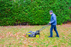 Fall yard care tips