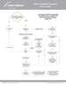 LC1626 Silica Standard Summary Flow Chart - 8-25^