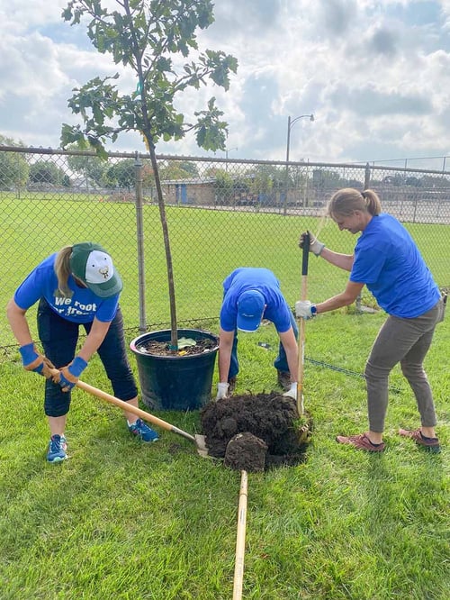 West Bend associates work on digging hole to plant tree.