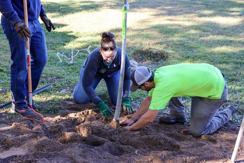 Volunteers pat the dirt down after planting a new tree.