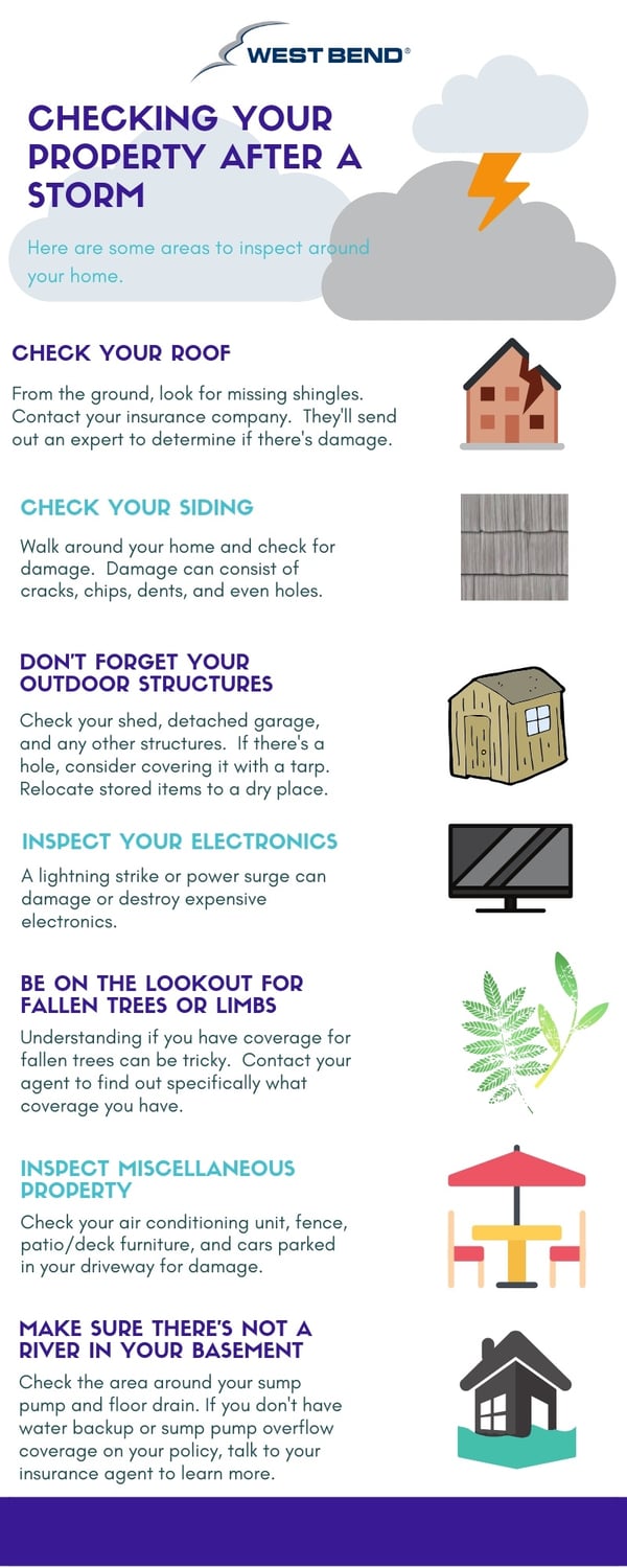 Storm Infographic