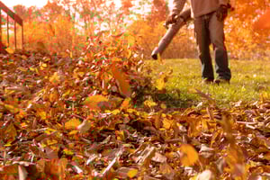 Tips for getting rid of leaves
