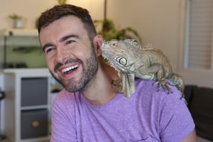 Tips for moving with reptiles