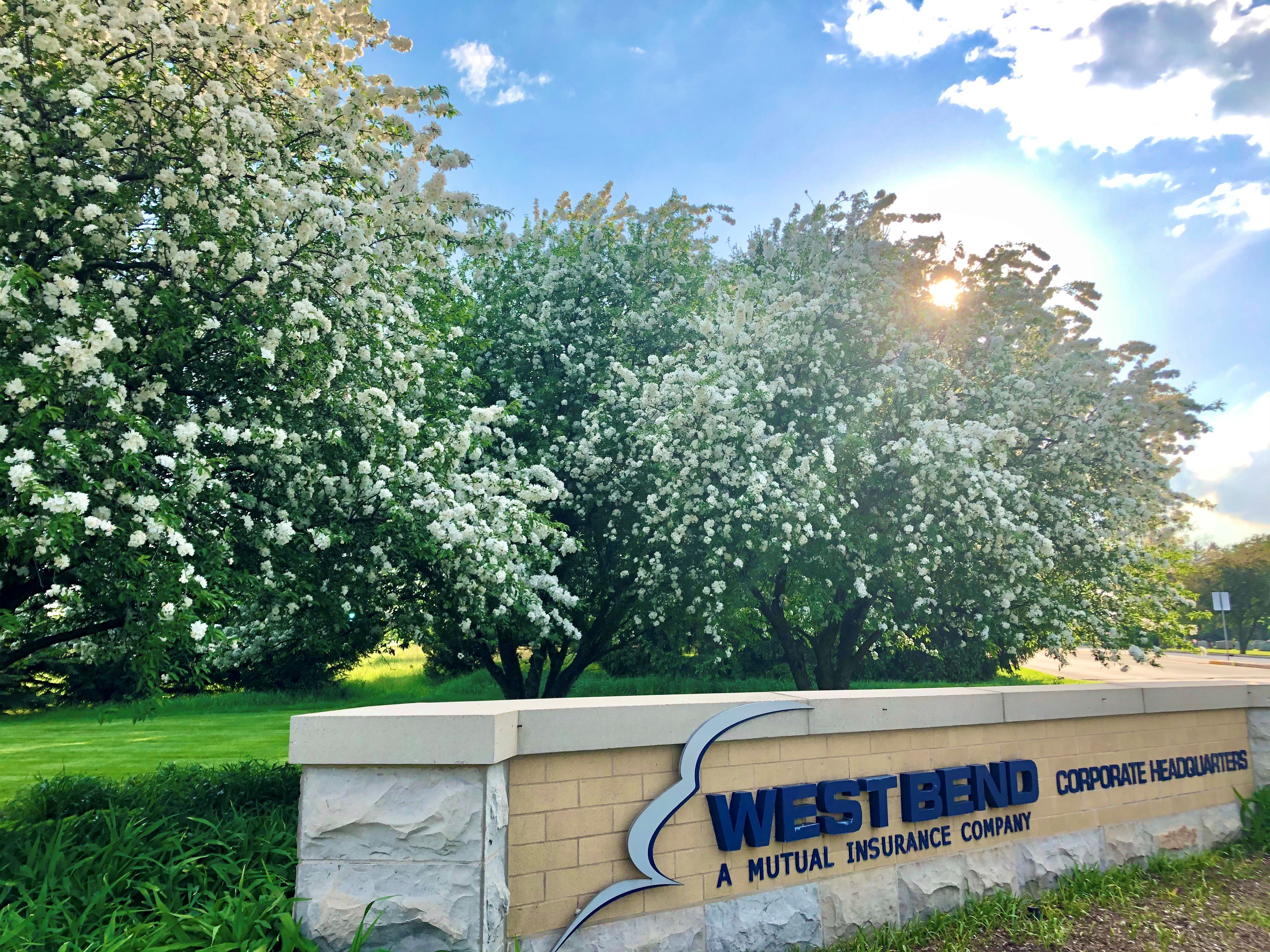 WB sign flowering tree