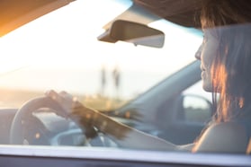 d driving video blog