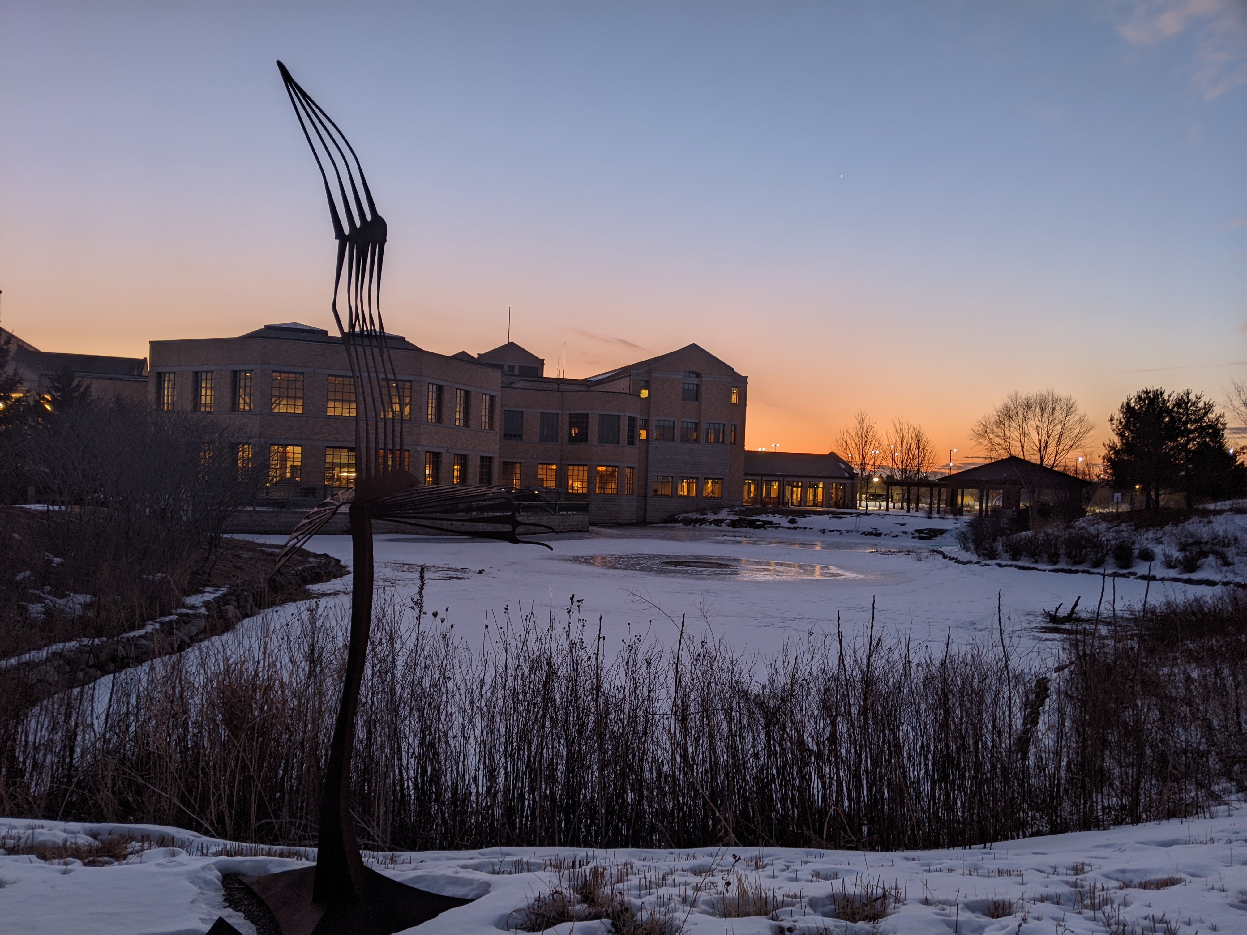 early morning winter sunrise with bldg and sculpture by pond 2-8-22