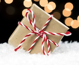gift-in-snow.jpg