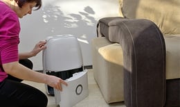 Woman inspects humidifier in her house