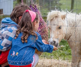 kids-at-petting-zoo.jpg