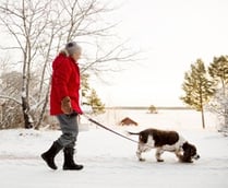 lady-walking-dog.jpg