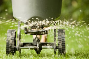 lawn fertilizer