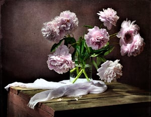 peony-still-life