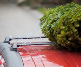 xmas-tree-on-car.jpg