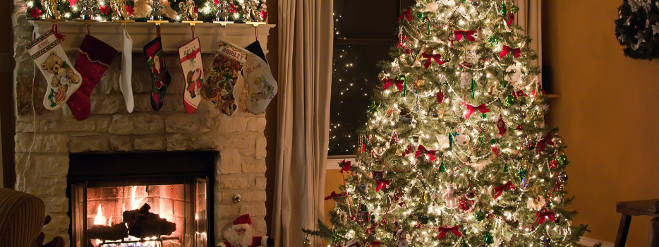 Choosing and caring for live Christmas trees blog image