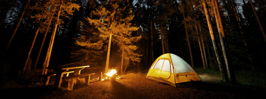 Eleven Tips to Protect Your Campsite This Summer blog image