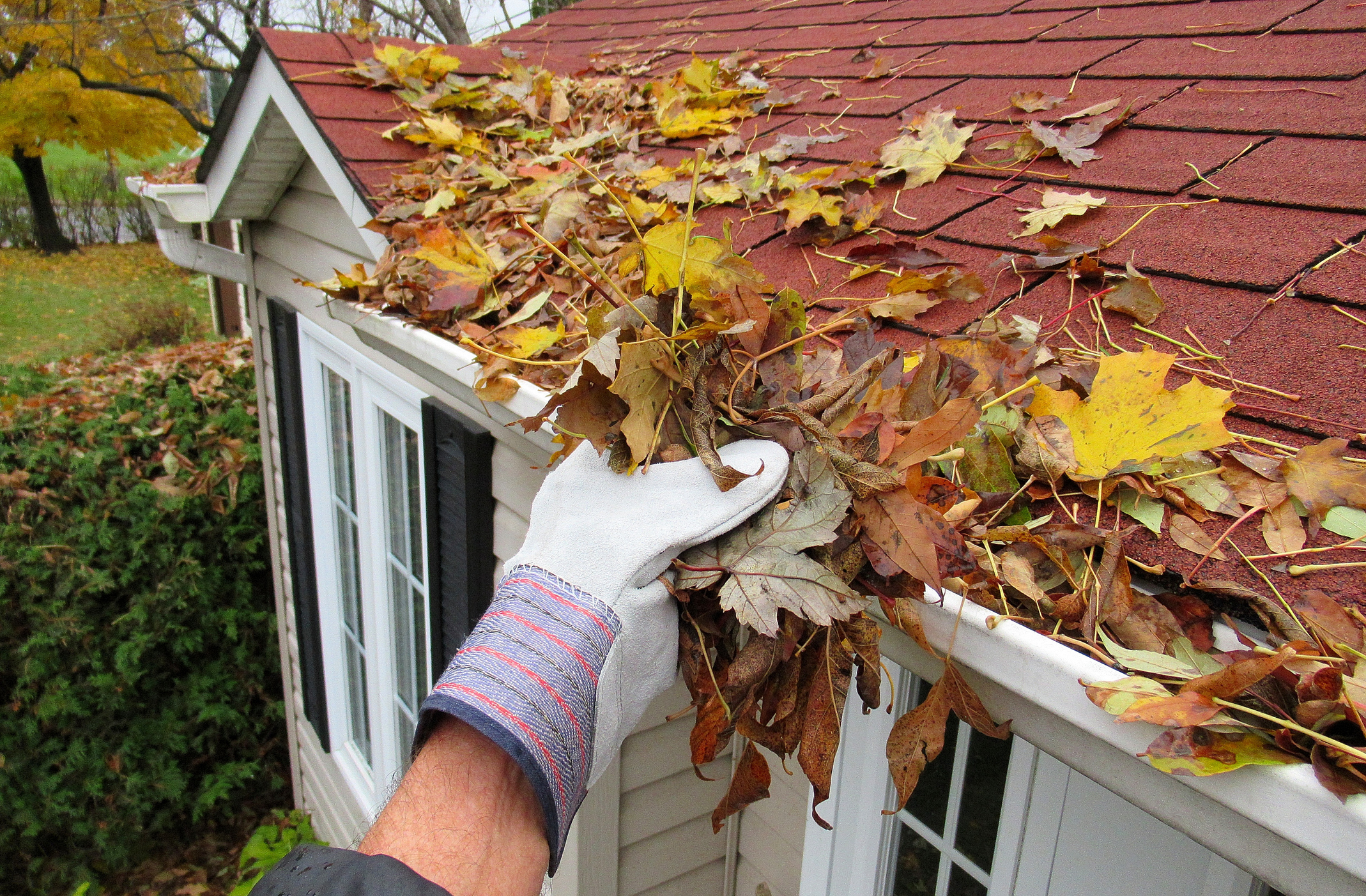 Tips for cleaning your home's gutters this fall