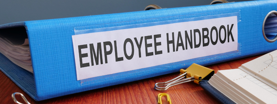 How employee handbooks and performance reviews help small businesses thrive blog image