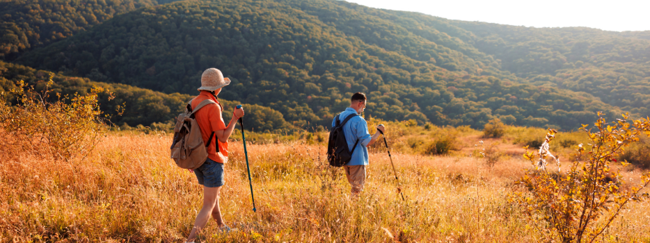 Two hikers on a mountain trail